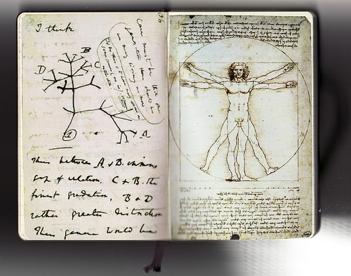 Darwin and da Vinci Darwin and da Vinci