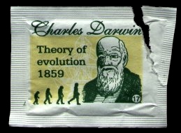 Sugar sachet depicting Charles Darwin