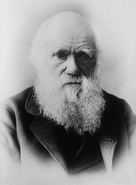Charles Darwin (1879)