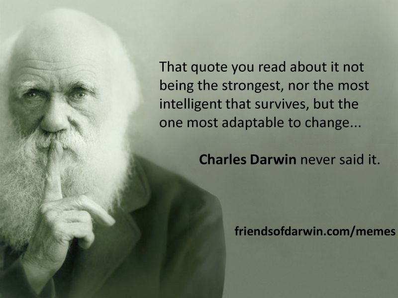 Darwin never said that!