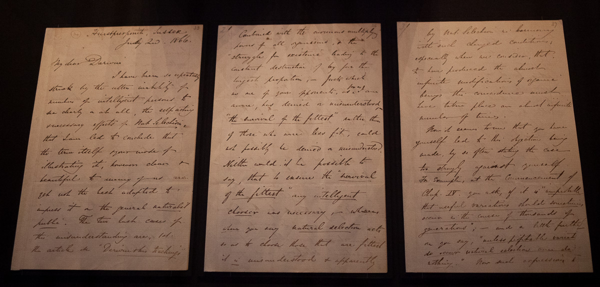 Letter from A.R. Wallace
