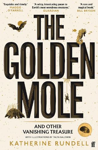 ‘The Golden Mole’ by Katherine Rundell