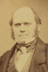 Darwin c.1855