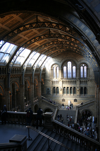 Darwin bathed in light, the Great Hall, Natural History Museum