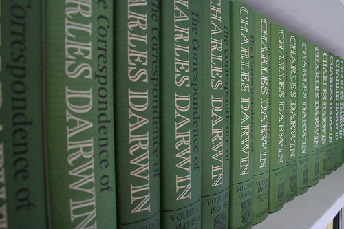 Darwin groupie's study
