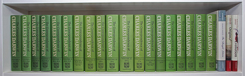 Darwin groupie's bookshelf