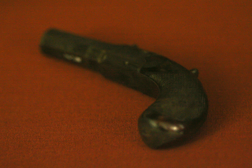 One of Darwin's pistols