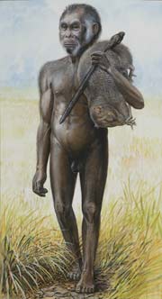 Homo floresiensis