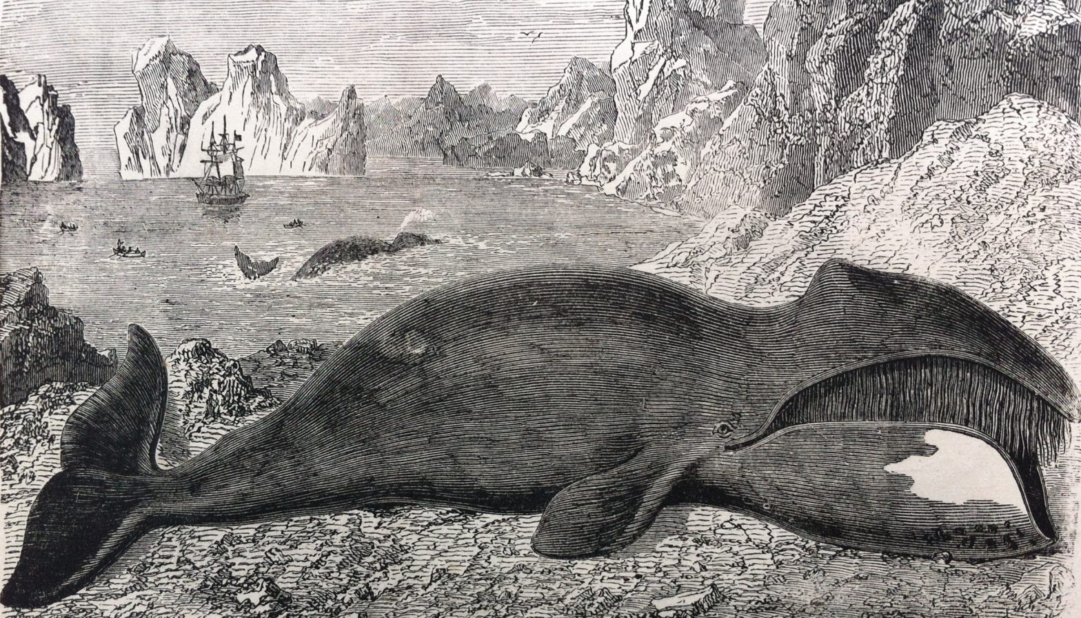 01-Apr-1832: Darwin falls for an old tradition