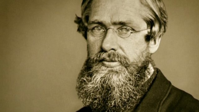 Modesty and candour: the Darwin-Wallace friendship