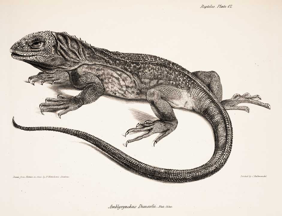 16-Sep-1835: Darwin sets foot on the Galápagos Islands