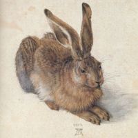 Hare watercolour by Albrecht Durer