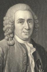 Carolus Linnaeus