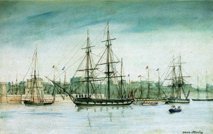 12-Jan-1836: Darwin in the Land of Oz