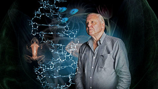 Sir David Attenborough