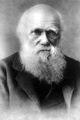 Didn’t Darwin recant his theory of evolution on his deathbed, and embrace Christianity?
