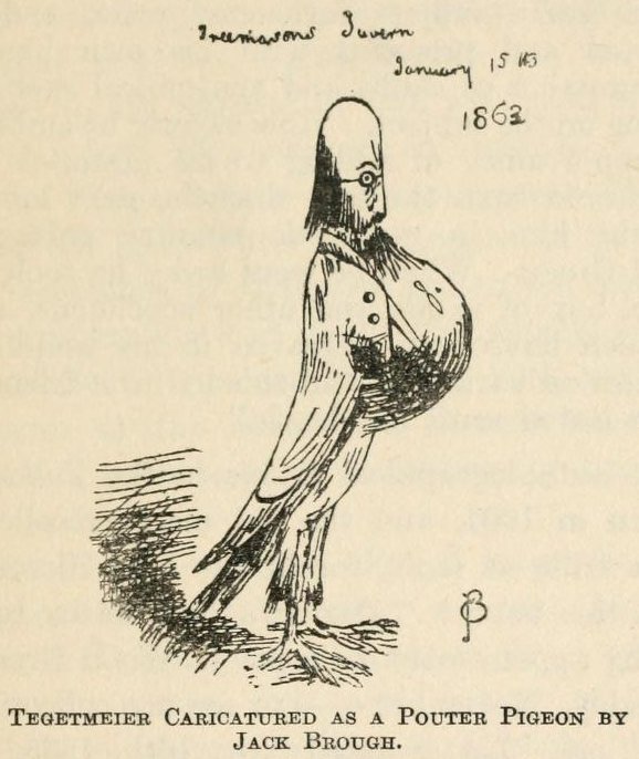 Tegetmeier as a pigeon