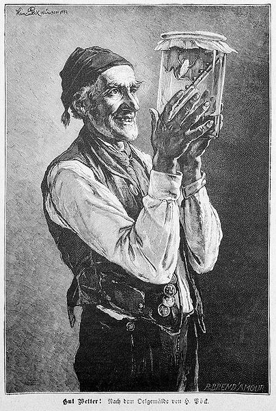page 385 of journal Die Gartenlaube, 1887.