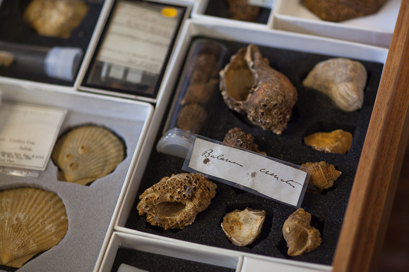 Newsletter No. 3: ‘Knee-deep in barnacles’