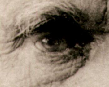 Didn't Darwin admit that the eye was too complex to have evolved?