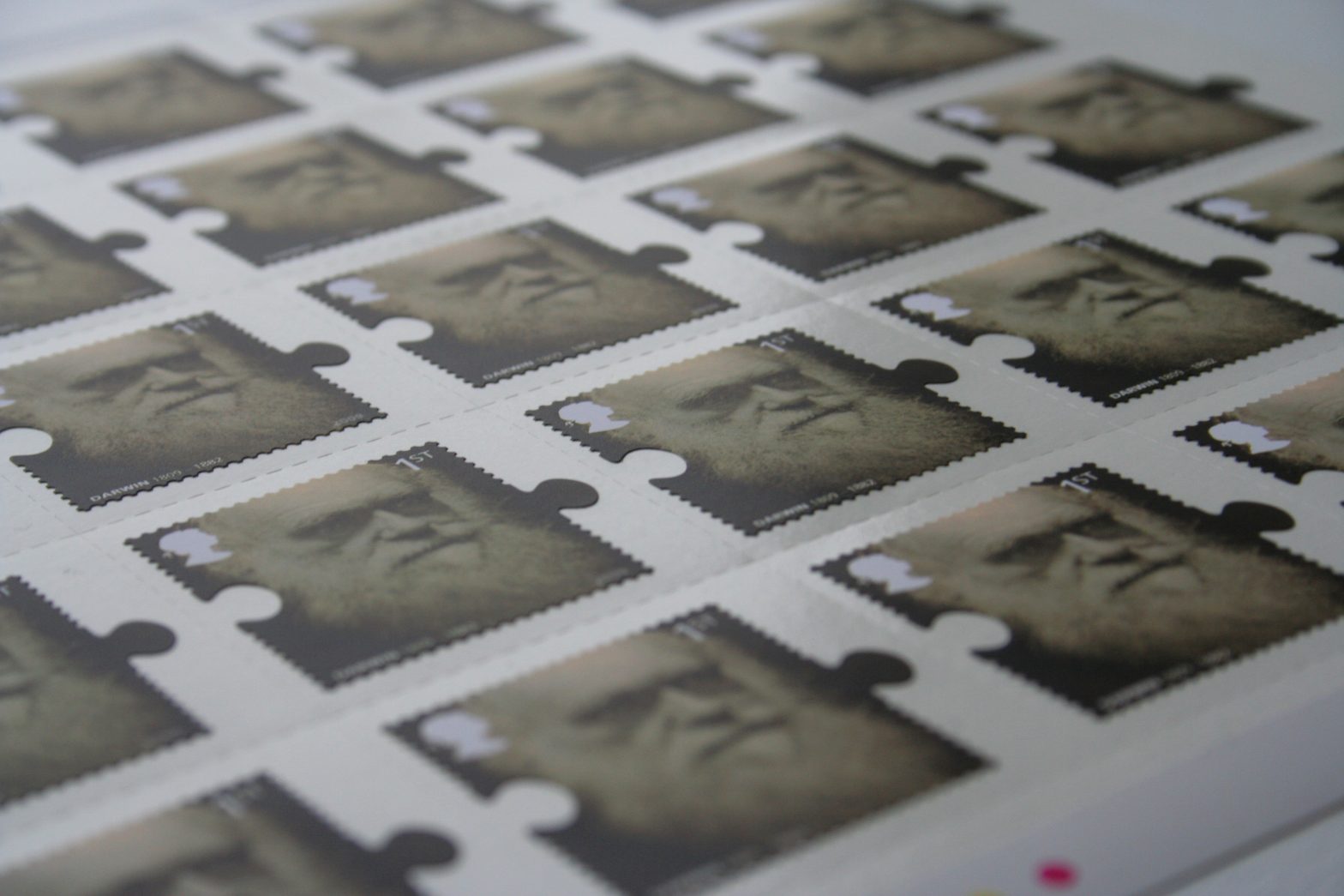 Newsletter No. 9: ‘Time flies’