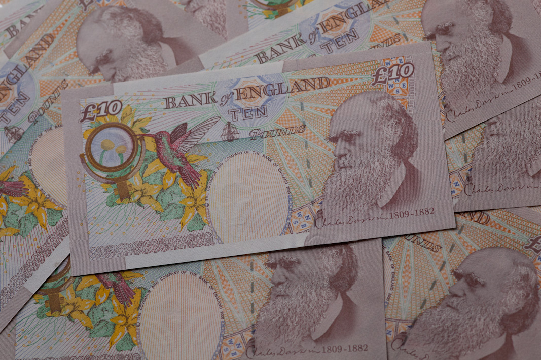 Darwin £10 notes
