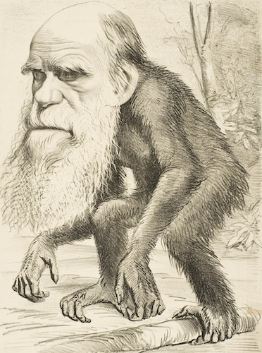 The problem writing a book about Charles Darwin