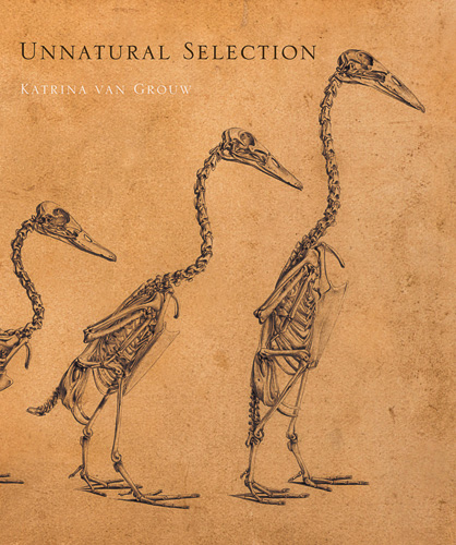 Book review: ‘Unnatural Selection’ by Katrina van Grouw
