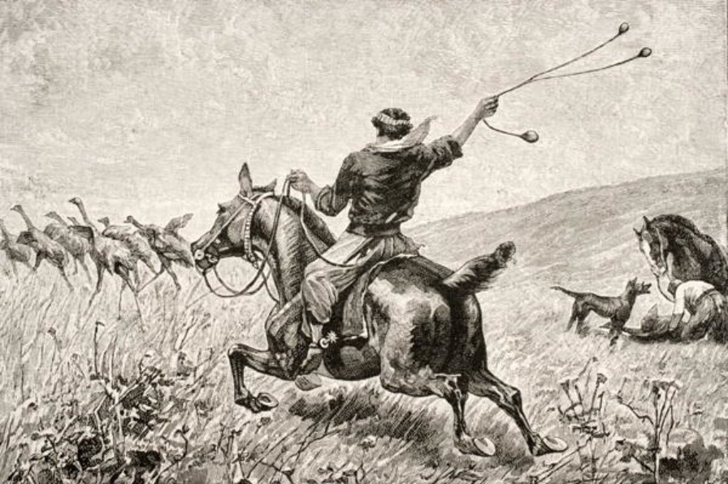 08-Sep-1832: Darwin encounters bolas