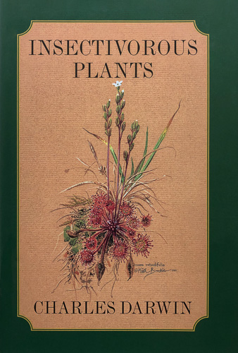 Book review: ‘Insectivorous Plants’ by Charles Darwin