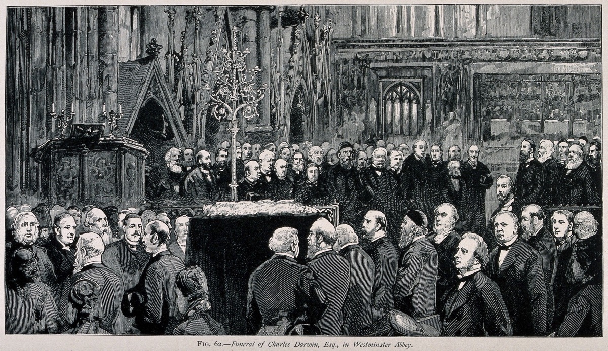 26-Apr-1882: Charles Darwin buried in Westminster Abbey