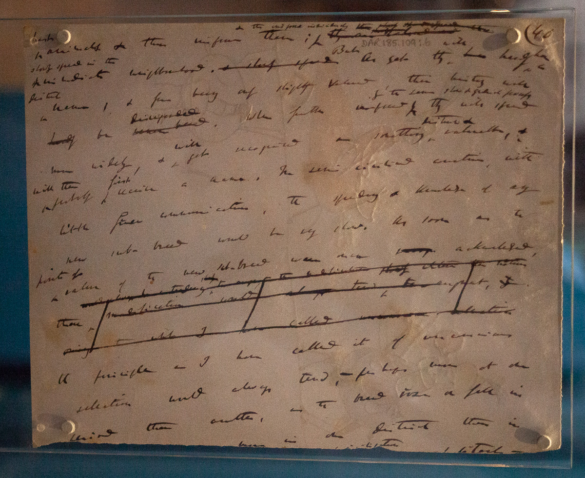Manuscript page of ‘On the Origin of Species’
