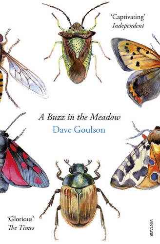Book review: ‘A Buzz in the Meadow’ by Dave Goulson