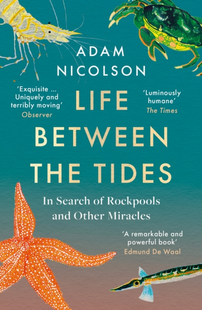 Book Review: ‘Life Between the Tides’ by Adam Nicolson