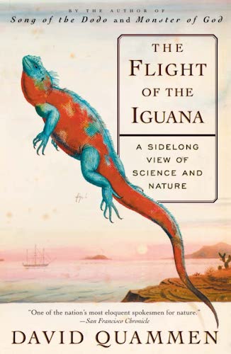 The Flight of the Iguana