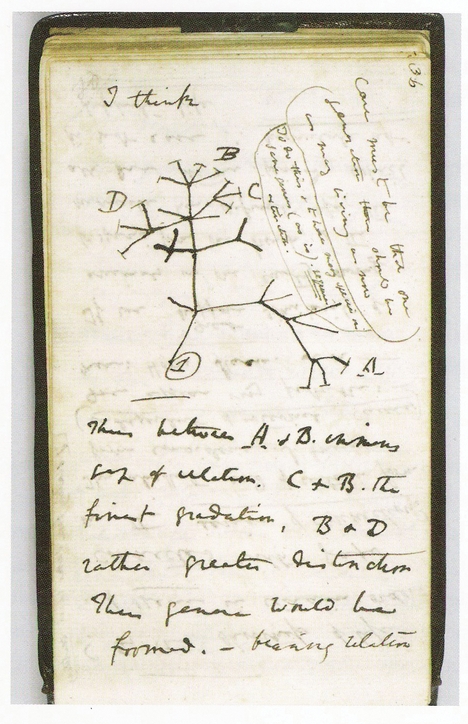 Tree of Life