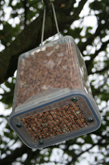 Carter's Jackdaw-Resistant Bird Feeder