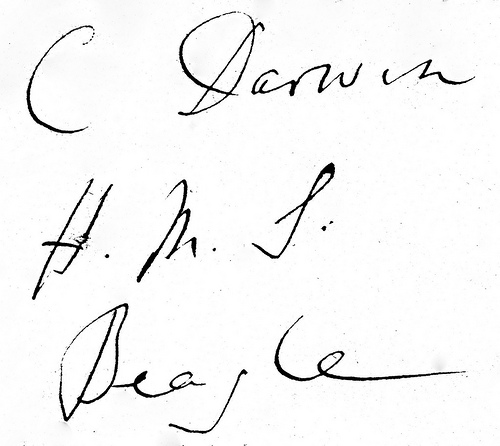 C Darwin H.M.S. Beagle C Darwin H.M.S. Beagle