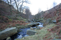 Alcomden Water Alcomden Water