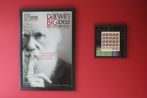 Darwin groupie's study