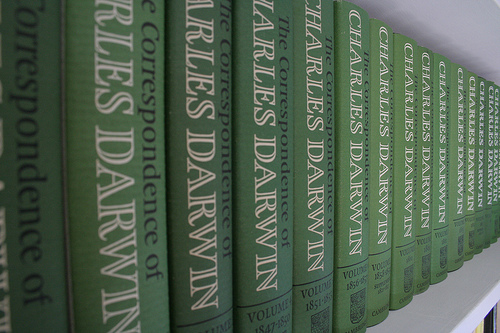 Darwin groupie's study Darwin groupie's study